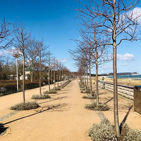 Ostseeurlaub-goehren Sanddollar Im Haus Strandeck