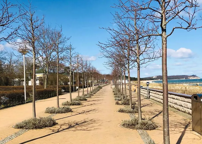 Ostseeurlaub-goehren Sanddollar Im Haus Strandeck