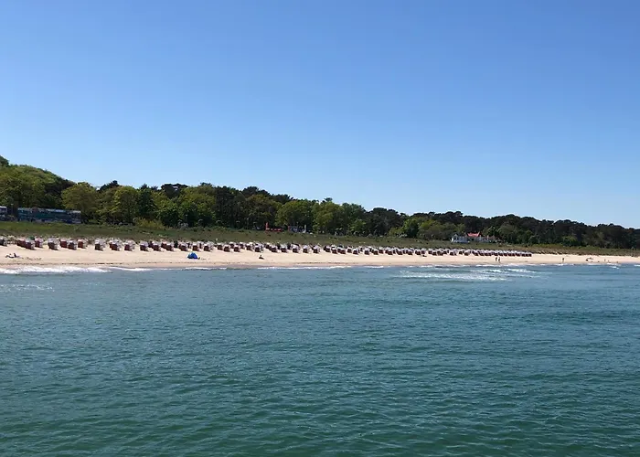 Ostseeurlaub-goehren Sanddollar Im Haus Strandeck